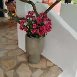 Floras House * ナフプリオ