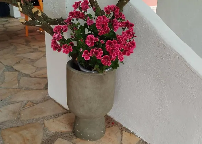 Floras House * Nafplio